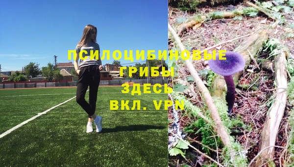 прущие крисы Абинск