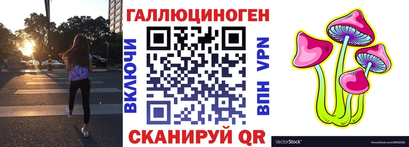 Псилоцибиновые грибы прущие грибы  omg как войти  Инта  как найти закладки 